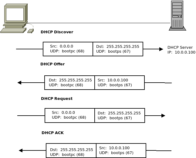 DHCP Discovery
