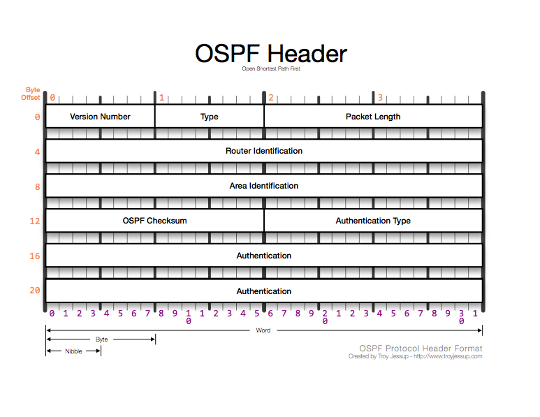 OSPF header