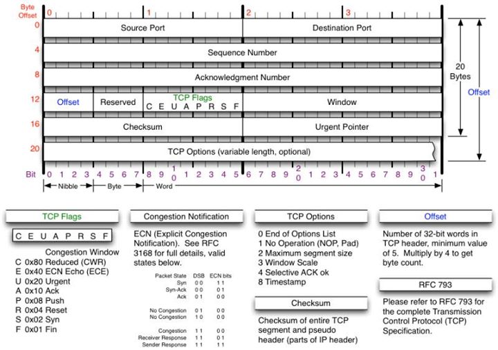 TCP Header Fields